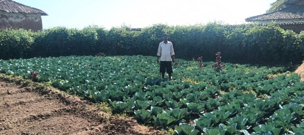 MNREGA जल संरक्षण से समृद्धि की ओर… जशपुर में डबरियों ने बदली किसानों की तस्वीर