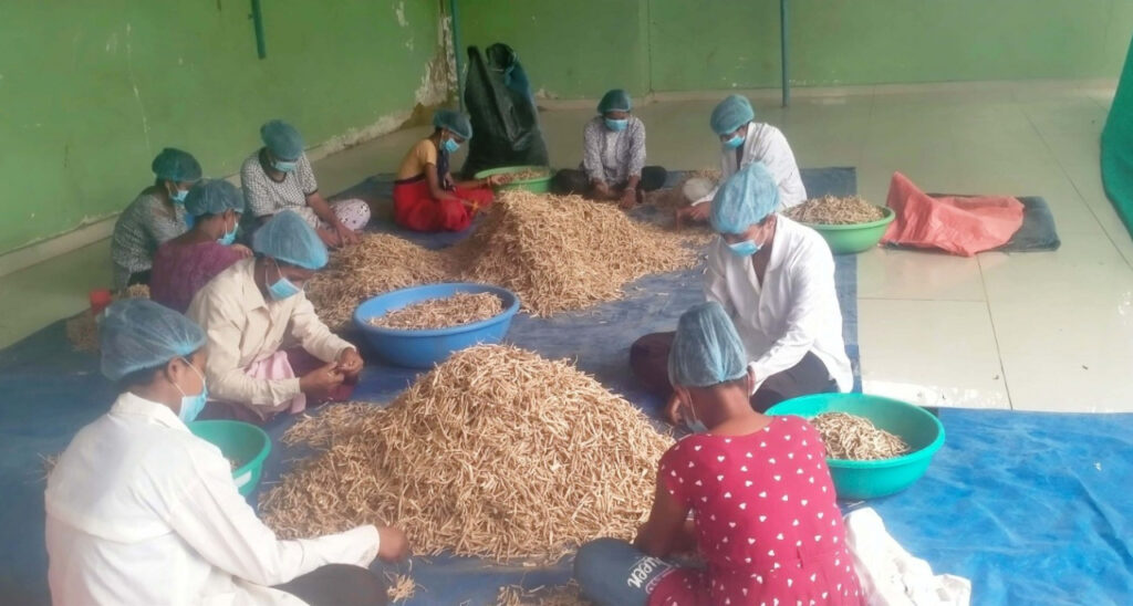 PM Van Dhan Yojana : वनधन योजना (PMVDY) से महिला सशक्तिकरण…जनजातीय महिलाओं के लिए आर्थिक बदलाव का माध्यम बनी वनधन योजना