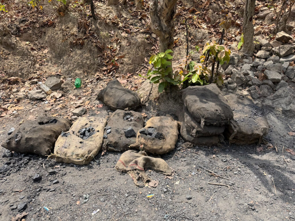 Coal Seizure : देवखोल जंगल में अवैध कोयला उत्खनन पर बड़ी कार्रवाई…सुरंगों में घुसकर अभियान… उपकरण भी जब्त