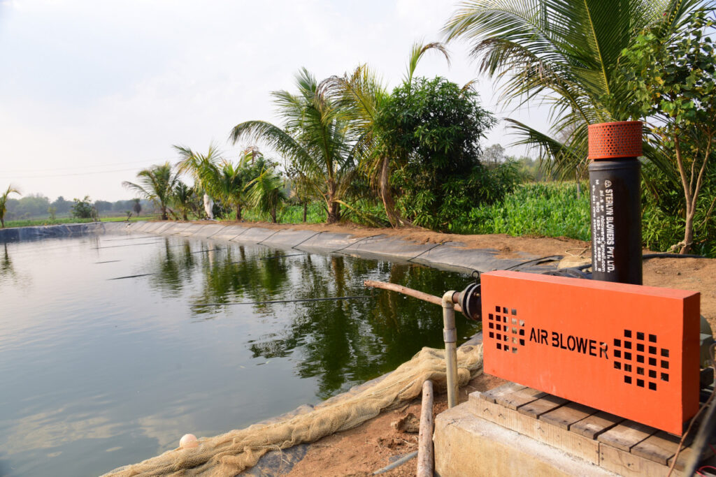 Fish Farming : मत्स्य संपदा योजना से कोंडागांव में बढ़ रहा मत्स्य उत्पादन… योजना के जरिए मत्स्य क्षेत्र को मिल रही नई दिशा