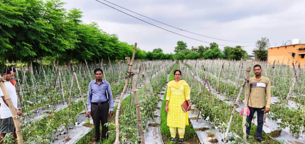 Modern Farming से बदली तस्वीर… किसान ईश्वरी प्रसाद ने कम जमीन में कमाया लाखों का मुनाफा