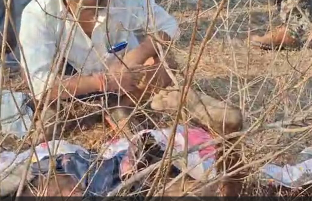 Elephant Attack : मरवाही क्षेत्र से एक दर्दनाक घटना…! हाथी के हमले से अधेड़ ग्रामीण की मौत…VIDEO