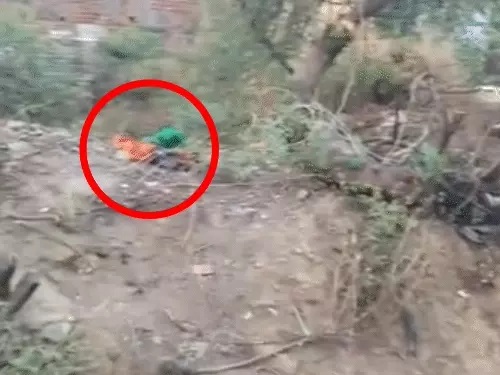 Rape of a Girl Child : दुर्ग में दिल दहला देने वाली घटना…! 5 साल की बच्ची अगवा कर दुष्कर्म…फिर बोरे में बंद कर फेंकी…पड़ोसी आरोपी अरेस्ट