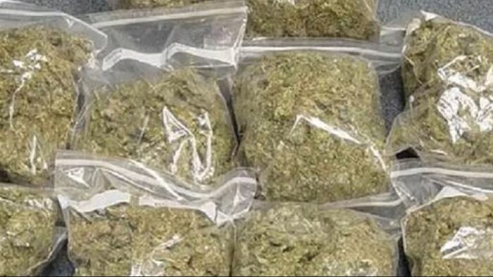 Drug Smuggling Bust : 210 किलो गांजा जब्त…! NCB का बड़ा एक्शन….ट्रक में ऐसे छुपाकर हो रही थी 20 करोड़ की तस्करी