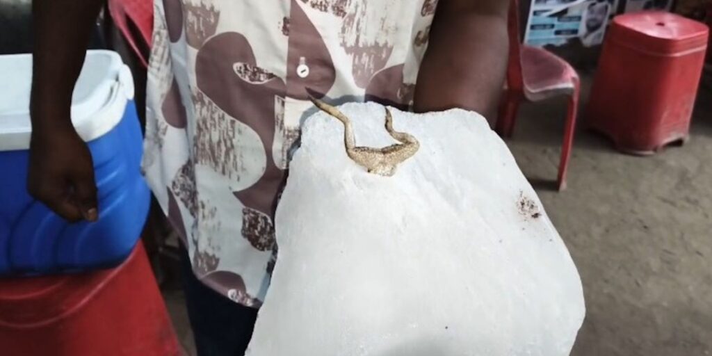 Health Alert : कोरबा चौपाटी में हड़कंप…! जूस में डालने वाली बर्फ में निकला मेंढक…VIDEO वायरल होने से मचा हड़कंप