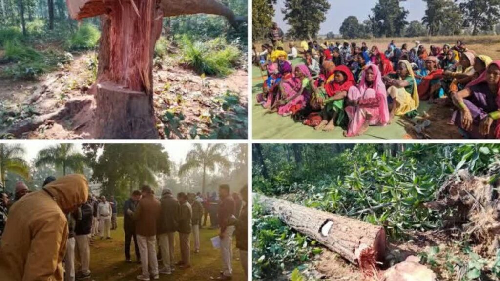 Hasdeo Forest: हसदेव अरण्य में कोयला खनन को मंजूरी…लाखों पेड़ों पर खतरा