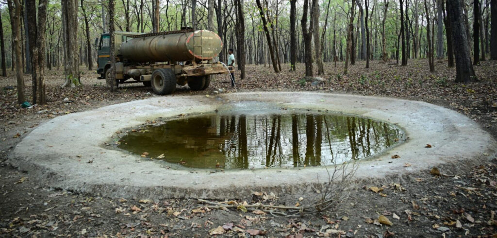 Wildlife Conservation : भीषण गर्मी में वन्यजीवों के लिए संजीवनी बना बारनवापारा अभयारण्य… हर 5 वर्ग किमी में पानी की व्यवस्था
