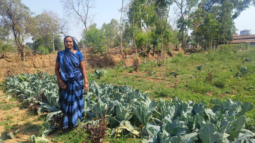 Women Empowerment : संघर्ष से सफलता तक: गौरेला की भगवती राठौर बनीं आत्मनिर्भरता की मिसाल… सब्जी उत्पादन से मासिक आय पहुँची 12 हजार के पार