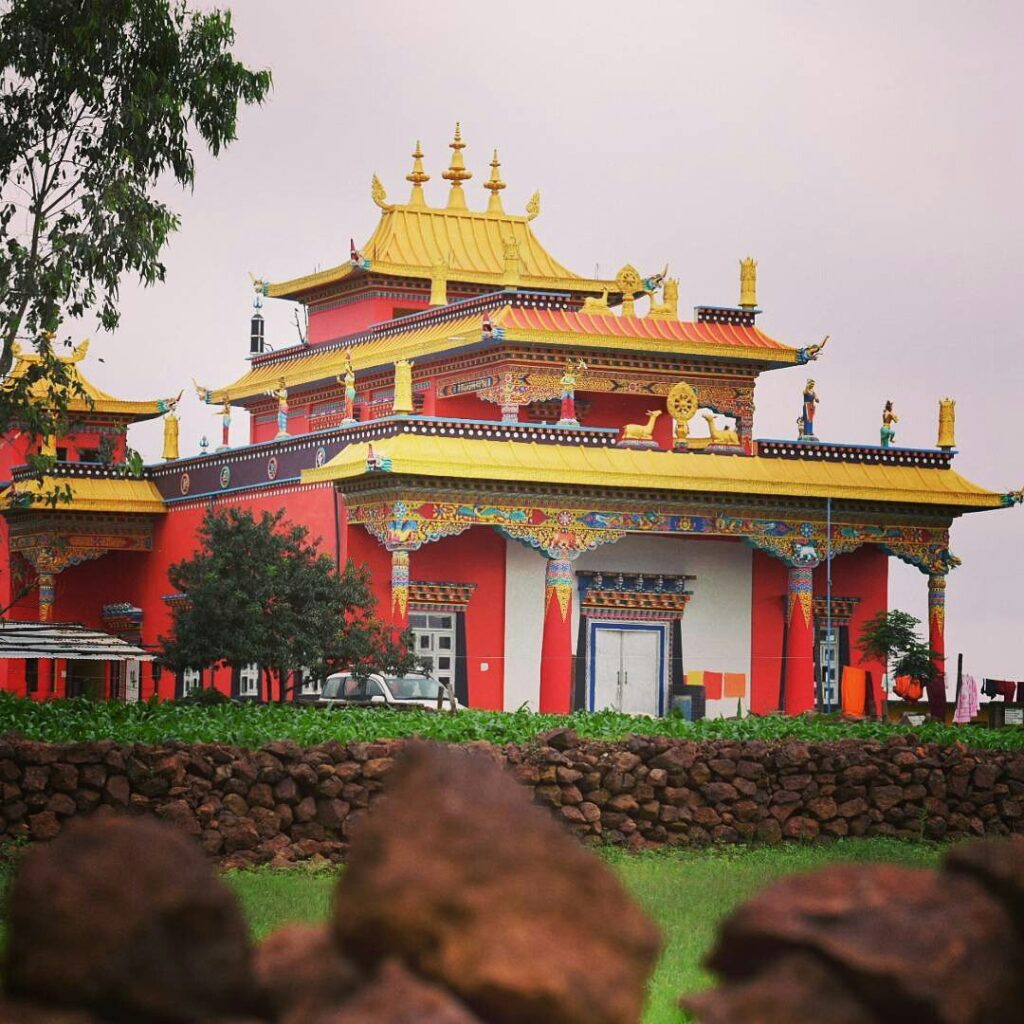 Mini Tibet : भीषण गर्मी से राहत का परफेक्ट ठिकाना… छत्तीसगढ़ का मैनपाट बना “मिनी तिब्बत”… ठंडी वादियों और अद्भुत प्राकृतिक नजारों से पर्यटकों को कर रहा आकर्षित