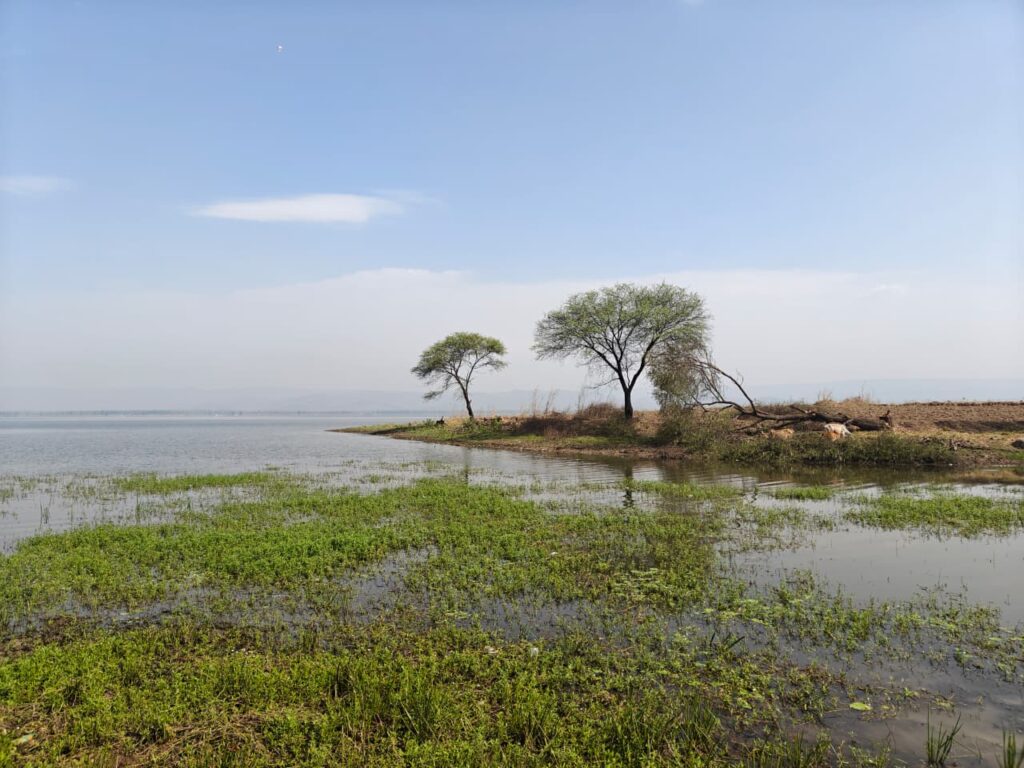 Kopra Reservoir बना संरक्षण का मॉडल… जनभागीदारी से संवरेगा छत्तीसगढ़ का पहला रामसर स्थल.. जैव विविधता के साथ रोजगार को भी मिलेगा बढ़ावा