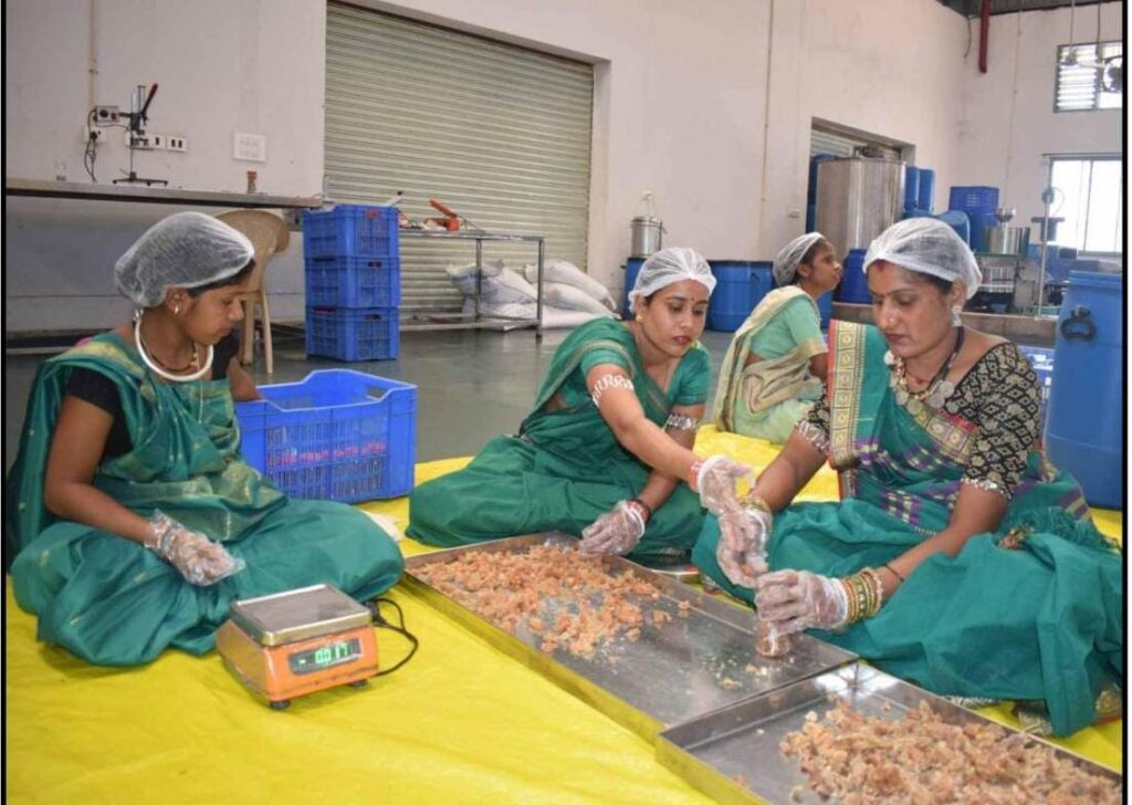 Herbal State Chhattisgarh : ‘ग्रीन गोल्ड’ से बदल रही ग्रामीण अर्थव्यवस्था की तस्वीर… वन संपदा बन रही ग्रामीण समृद्धि का आधार