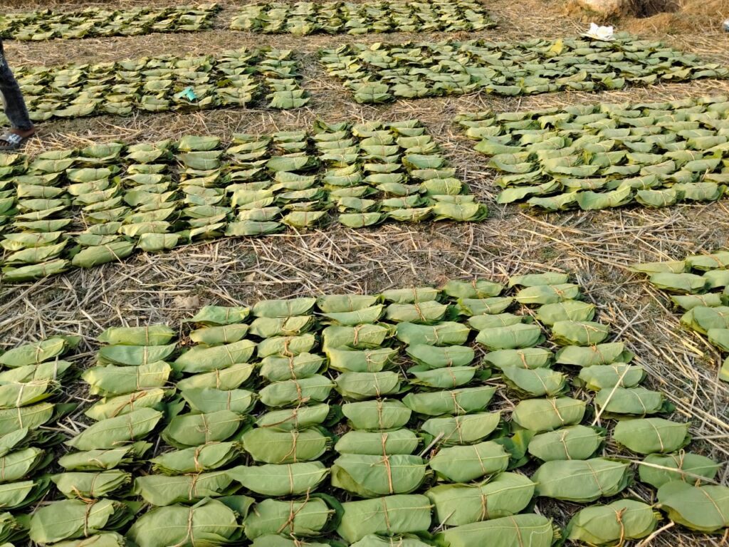 Tendu Leaf Collectors के लिए वन विभाग की जनकल्याणकारी योजनाएं बनी सहारा… करोड़ों रुपये की सहायता राशि वितरित