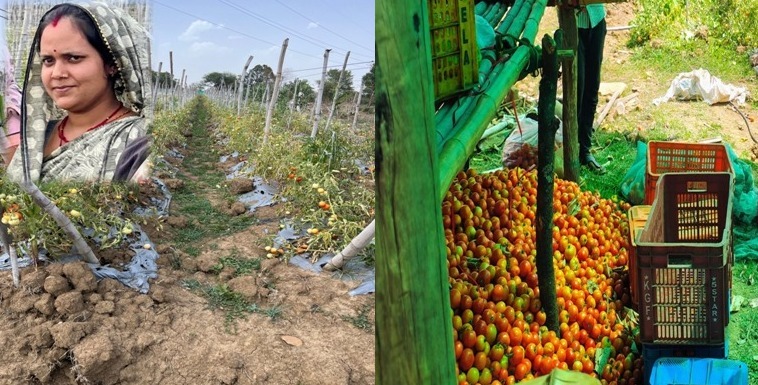 Bihan Yojana से बदली तकदीर… पशुपालन और सब्जी बाड़ी से ‘लखपति दीदी’ बनीं निधि तिवारी… ग्रामीण महिलाओं को आत्मनिर्भर बना रही राज्य सरकार की योजनाएं