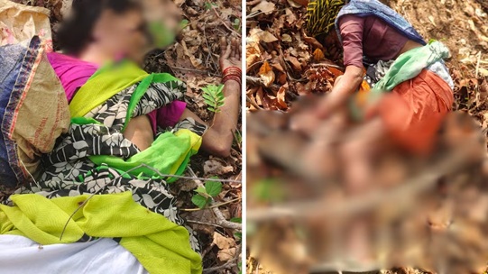 Tiger Attack : तेंदूपत्ता तोड़ने गई थीं महिलाएं…! घात लगाए बाघ ने किया हमला…सभी की दर्दनाक मौत