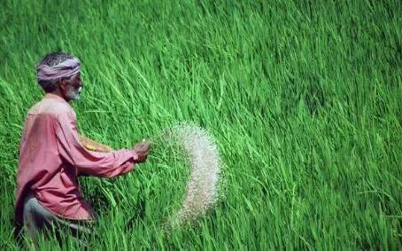Kharif 2026 के लिए उर्वरक वितरण के नए दिशा-निर्देश जारी… संतुलित उर्वरक उपयोग और टिकाऊ खेती को मिलेगा बढ़ावा