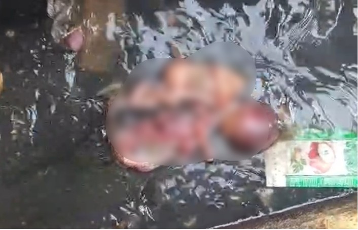 Newborn Body Found : रायपुर में दिल दहला देने वाली घटना…! नाली में मिला नवजात का शव…इलाके में मचा हड़कंप