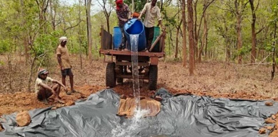 खैरागढ़ में भीषण गर्मी का कहर…15 वन्यजीव और पक्षियों की मौत से हड़कंप