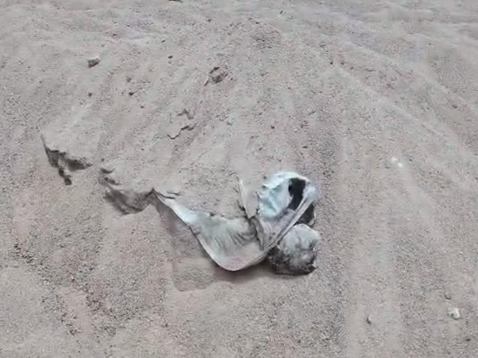 Dhamtari Skeleton Case: धमतरी के खरेंगा गांव में अवैध रेत खनन से सनसनी…श्मशान घाट से मिले 10 से ज्यादा नरकंकाल