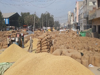 Paddy Scam : धान खरीदी घोटाले में बड़ा एक्शन…! ₹1.29 करोड़ की गड़बड़ी…10 कर्मचारियों पर FIR के आदेश