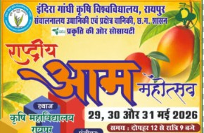 Mango Festival : आमों की बहार… कृषि विश्वविद्यालय में तीन दिवसीय राष्ट्रीय आम महोत्सव कल से… आम की 250 से अधिक किस्में होंगी प्रदर्शित