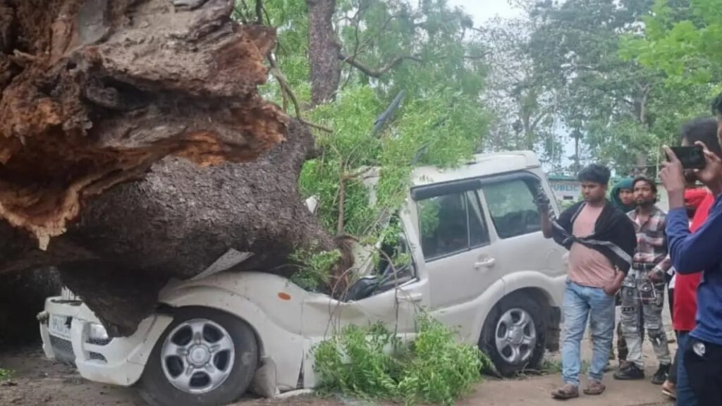 UP Storm Disaster : आंधी-तूफान ने ली 54 जानें…! भदोही में दर्दनाक मंजर…पेड़ गिरने से कई परिवार खत्म…यहां देखें