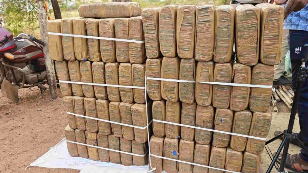 धमतरी में 400 किलो से अधिक गांजा जब्त…एक नाबालिग समेत 5 हिरासत में
