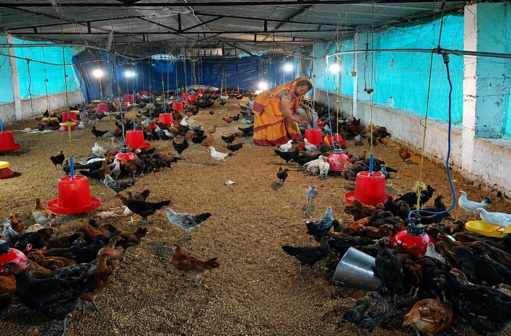 Self Help Group : स्व-सहायता समूह से मिली नई उड़ान… मुर्गी पालन से आत्मनिर्भर बनीं रानी यादव… अब अन्य महिलाओं के लिए बनीं प्रेरणा