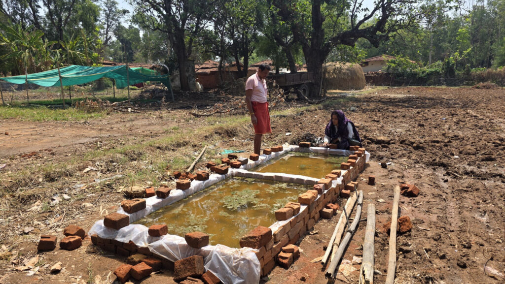 Organic Farming : जैविक खेती की ओर बढ़ रहे किसान… नील हरित शैवाल से सुधर रही मिट्टी की सेहत