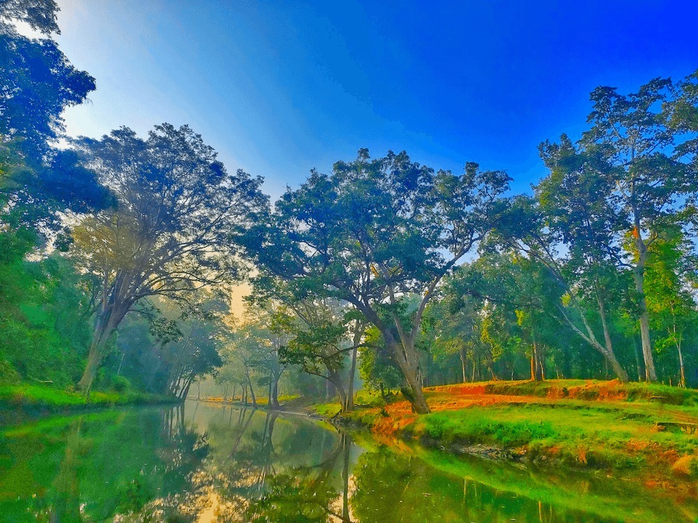 Green Chhattisgarh : हरित विकास, जल संरक्षण और जनभागीदारी से पर्यावरणीय समृद्धि की ओर बढ़ता छत्तीसगढ़… हरित विकास को नई दिशा दे रहा छत्तीसगढ़