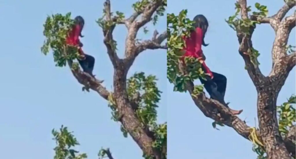 मोबाइल फोन की जिद पर पेड़ पर चढ़ी बच्ची…पुलिस की समझदारी से टला बड़ा हादसा