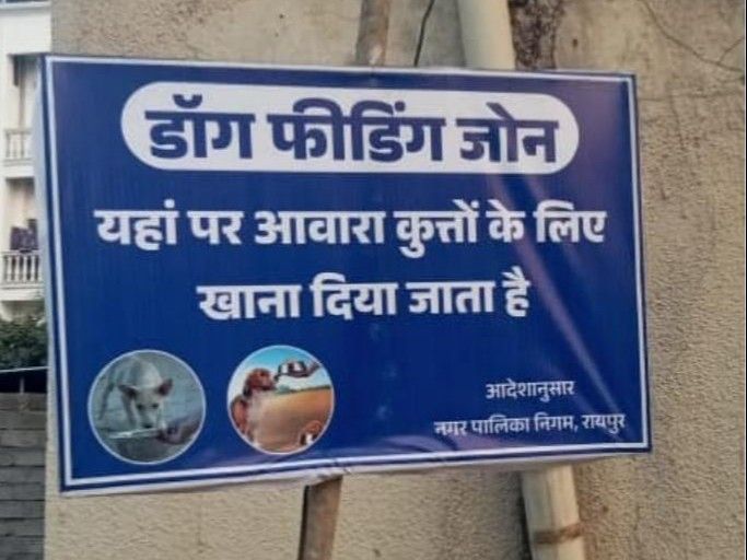 रायपुर में स्ट्रीट डॉग्स के लिए 70 वार्डों में फीडिंग जोन तय…नगर निगम का बड़ा फैसला
